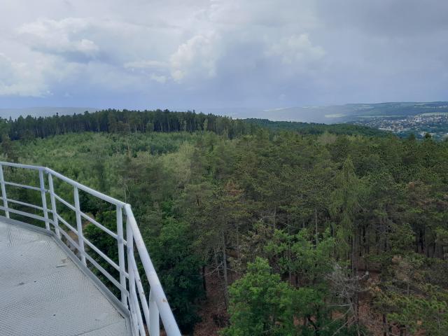 07.jpg