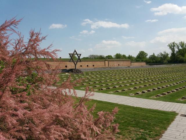 06.jpg