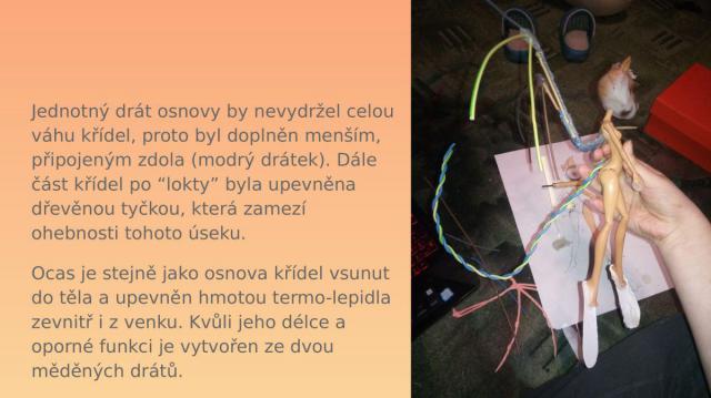 07.jpg