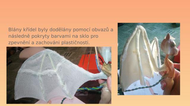08.jpg