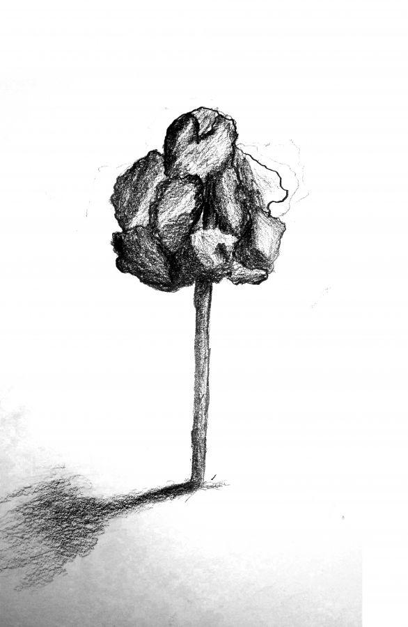 07.jpg