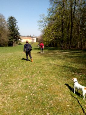 Discgolf Choltice 2-1