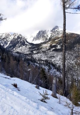 STUDIJNÍ AKTIVITA PROJEKTU VALT NA SLOVENSKU 2-3